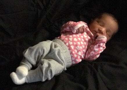 Baby Violet Lily